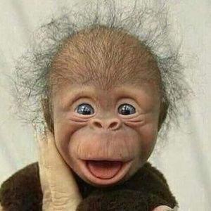 Meet your Posher, Suzanne